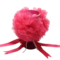 Nadelkissen Glas mit Tüll - Modell F - Pink